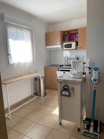 Appartement Tout Confort 2-4 Pers 500 M De La Plage Avec Piscine Et Wifi Santa-Maria-Poggio  Екстер'єр фото